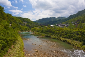 再訪侯硐~貓多慎入~