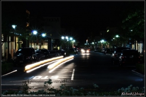 理查的「相機日記38： 2010四月隨拍」