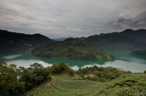 北宜&nbsp;&nbsp;潭腰&八卦茶園