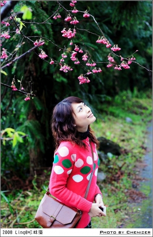 ★【霧裡看花】杉林溪