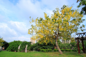 20130525_高雄_河提春之饗宴