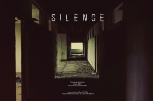DIDY&nbsp;&nbsp; |&nbsp;&nbsp;Silence