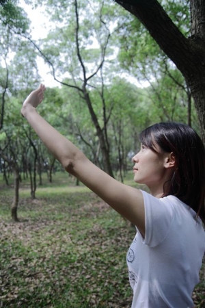 早。晨。淡。雅