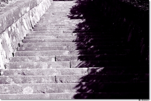 ●●●鍛羽而歸的戰力實拍50mm F1.8●●●by雙胞胎爸