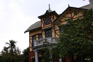 終於放晴之台北花卉