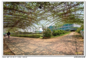 (新玩具公佈)新屋花海+古農休閒農場