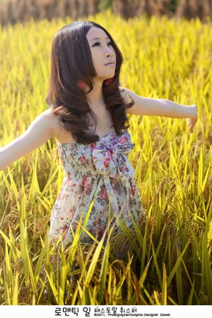 稻田•陽光•盛夏 By:Cowei