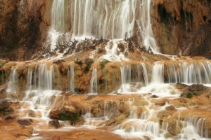 黃金瀑布-新手上路!請多指教!