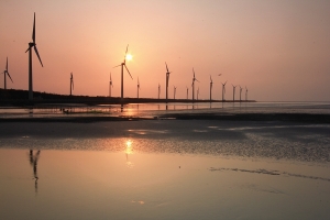 阿里山行完結篇- 高美濕地慘劇