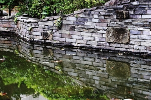 台中市~園區拾景...幾張照片