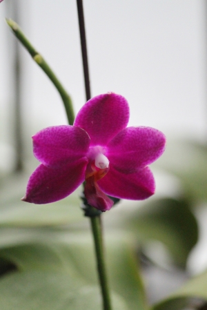 test-3