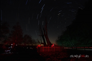 爆肝之旅‧夫妻樹星軌