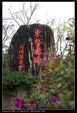 東勢林場之上萬櫻花在那???