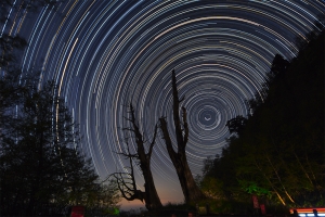 夫妻樹星軌(照片+影片)