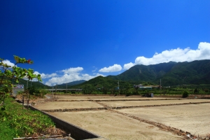 東遊記-第一天台東森林公園