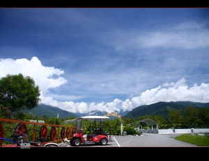 花蓮兆豐農場隨拍!