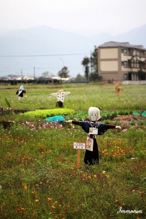 上個月初的假日閒晃～銀柳節
