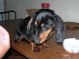 人生第一隻L鏡小小白is~oh ya~試拍