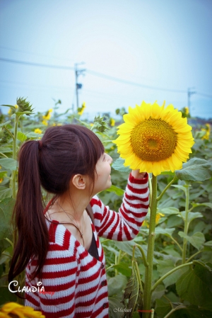 花毯節之天空灰灰