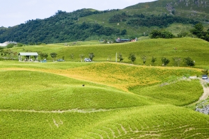 陰陰的60石山