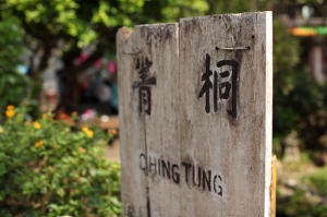 隨意拍