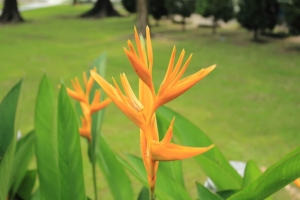 屏東中山公園