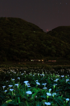 2012和平島豆腐岩