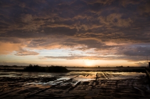 順著台十七線找風景。