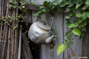 老家…端午祭祖…童年記憶