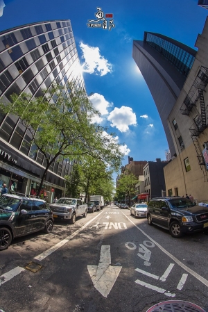 ::: NYC Under Fisheye 魚眼下的紐約 [十六] by DV :::