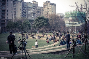 新竹麗池櫻花初始時