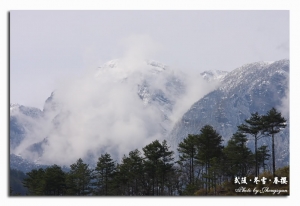 武陵-冬雪.春櫻