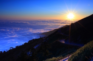 合歡夕色--彎道情緣~