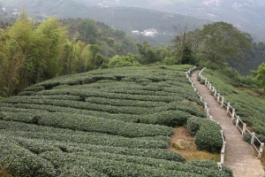 瑞里風景區與雲潭瀑布