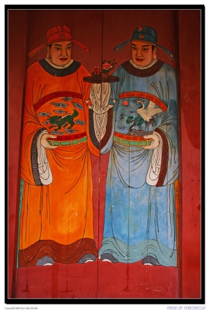 有點遲到的植物園荷花