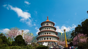 豬太郎-天晴天元宮