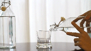 水 瓶&nbsp;&nbsp;(Cinemagraphs