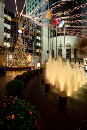 台北 - 聖誕樹~夜景