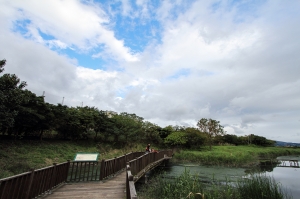 隨拍 - 關渡自然公園