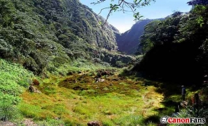 陽明山秘境之一「七星池」