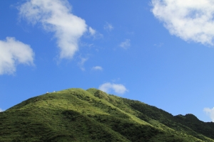 旅遊鏡18-135 框到的風景