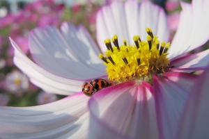 限制級...by Lenny