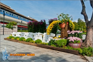 2011士林官邸菊展‧圓山園區
