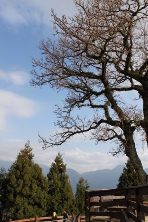 500D 18-55mm 新手首拍