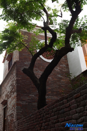 今天去鹿港走走