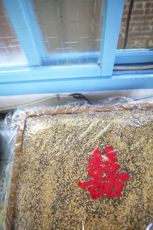 [粉紅獻禮]20110606永翰&治圓