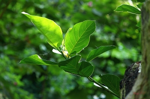 十號步道~路旁小景