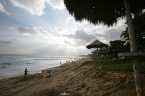 今年再夏都的日子