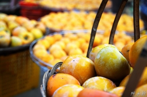 20111023~新竹柿子節 ^ ^