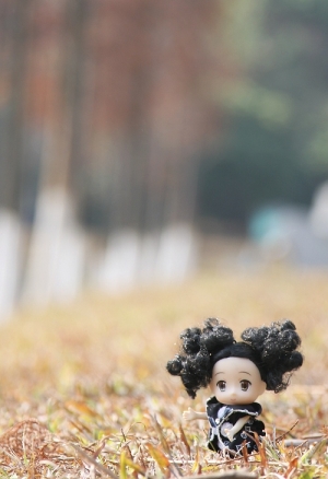 豆子金牌就靠妳了~~~~